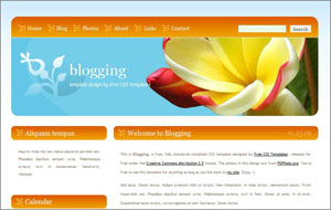 blogging