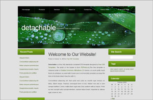 detachable