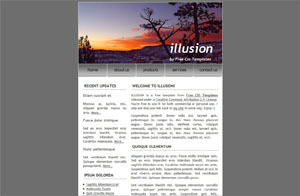 illusion